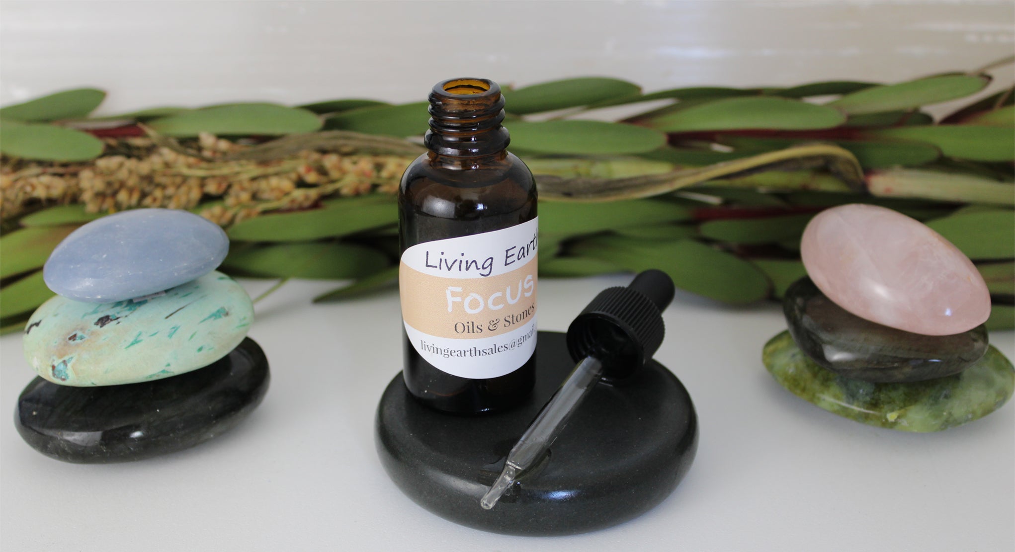 FOCUS Aromatherapy & Massage Oil